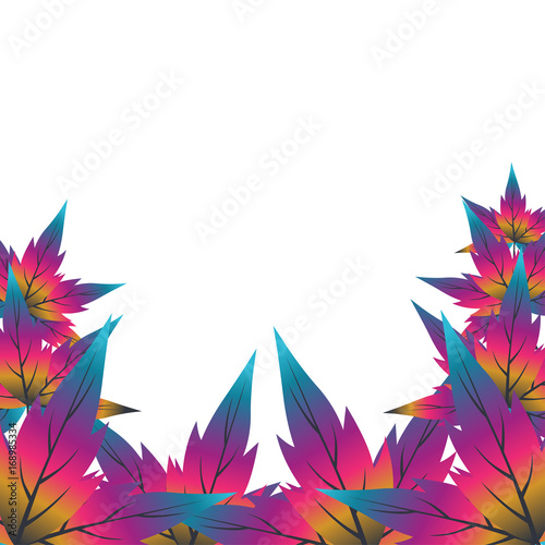 vector illustration  of color leaves backgrounds