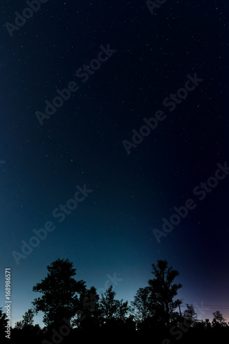 Starry night over the trees near by the city of Kiev in Ukraine. Ursa Major, also known as Big dipper, appears in the sky. Polaris indicates the North direction