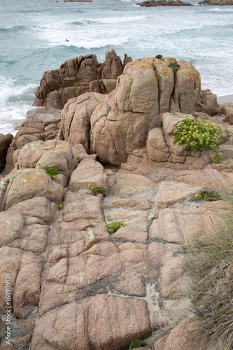 Plants and Rocks at Forcados Point Beach; Costa de la Muerte photo