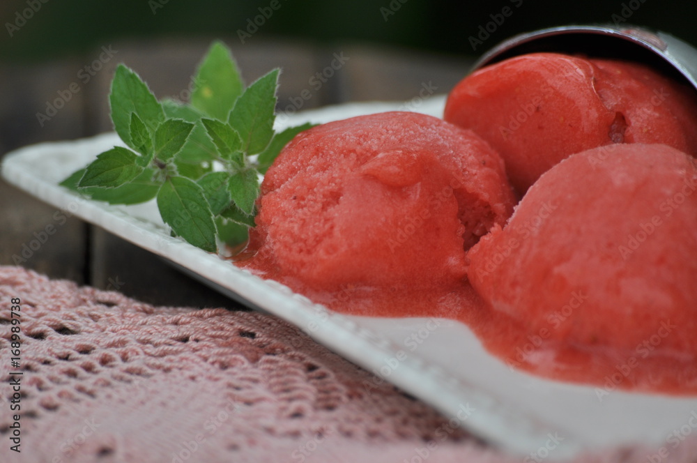 lody sorbet