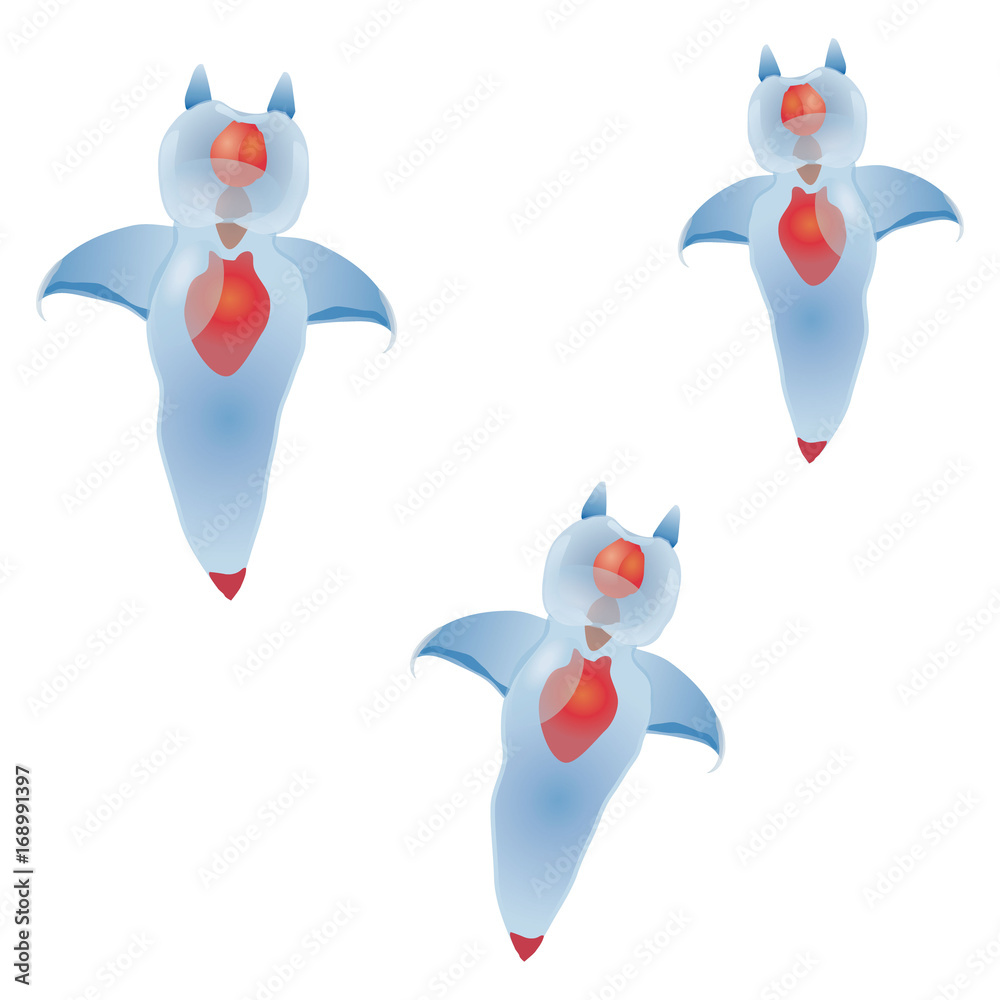 クリオネ Stock ベクター Adobe Stock クリオネ Stock ベクター Adobe Stock