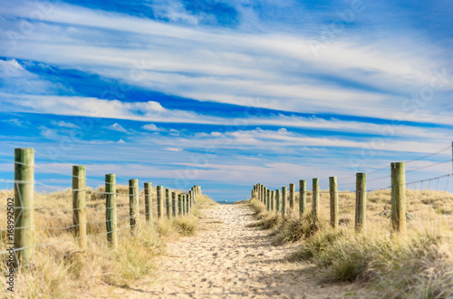 A sandy path between grassy dunes leads to the sea at Port Melbourne in Victoria, Australia © Adam Calaitzis