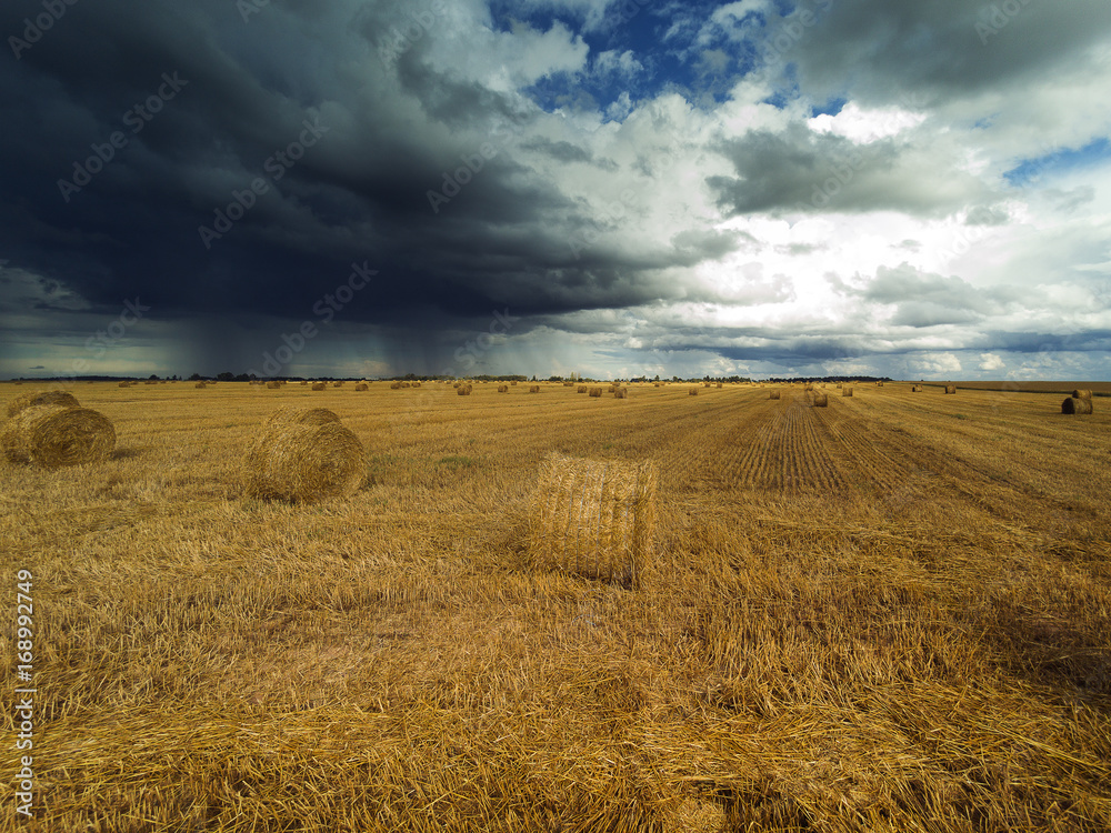 Straw rolls on agricultural field.