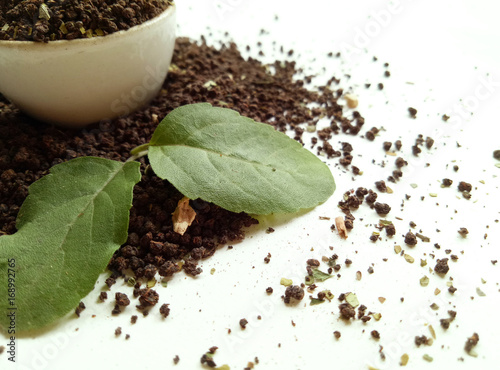 Tea Raw Leaves With Basal Leaf