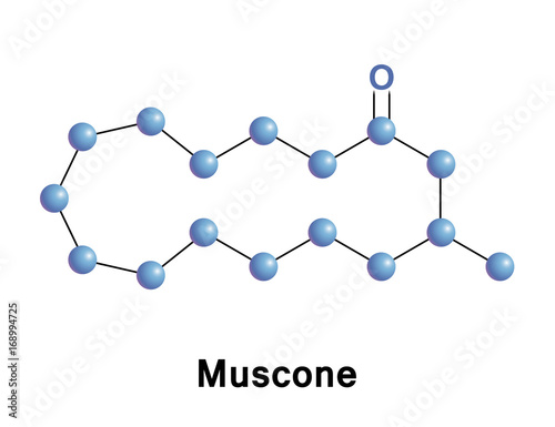Muscone contributor musk.