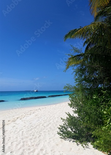 wei  er Sandstrand am t  rkisfarbenen Ozean auf den Malediven