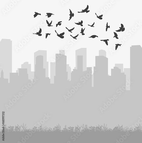  isolated silhouette of flying birds on city background