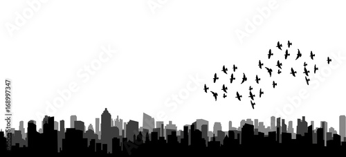 isolated silhouette of flying birds  flock