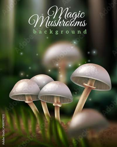 Magic Mushrooms Background