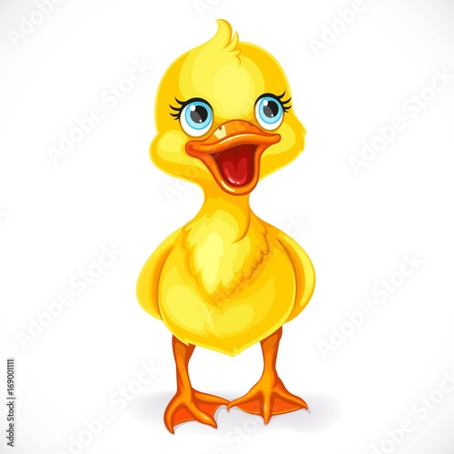 Cute little toeded yellow duckling isolated on white background
