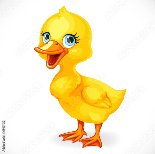 Cute little toeded yellow duckling isolated on white background