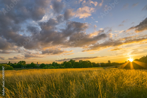 sunset in park