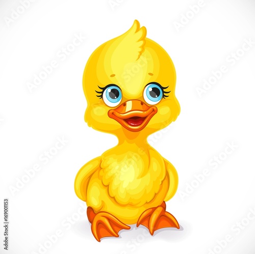 Cute little yellow duckling sit on floor isolated on white background