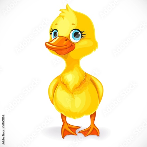 Cute yellow little toeded duckling isolated on white background