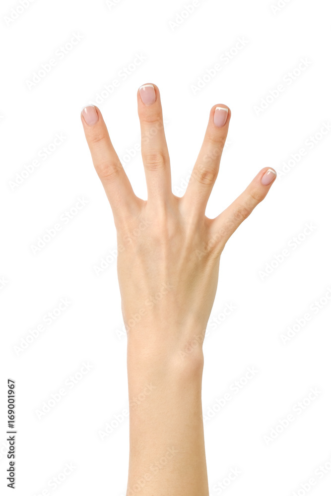 Hand counting. Four fingers. Isolated Hand counting. Four fingers. Isolated