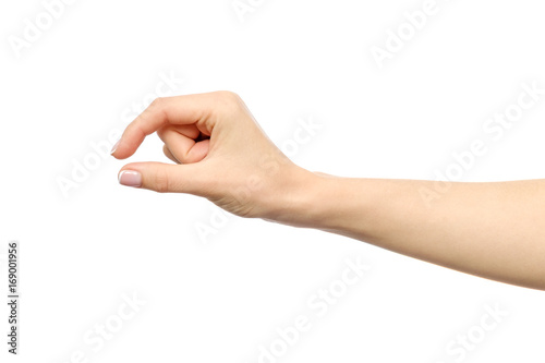 Hand showing size gesture isolated
