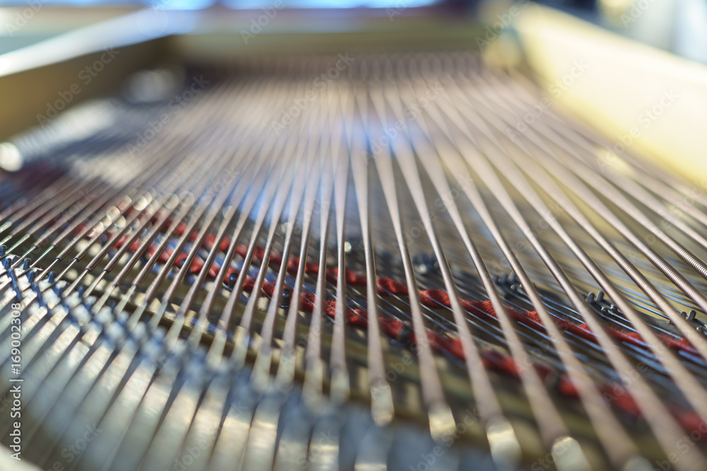Piano chords and hammers from the inside Piano chords and hammers from the inside