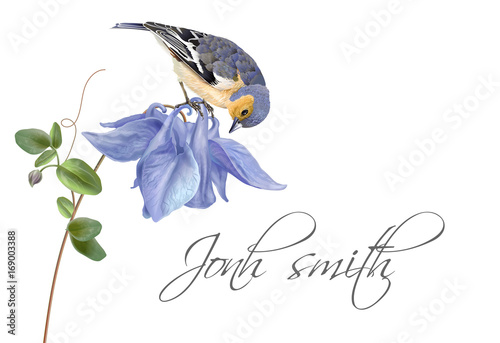 Blue flower bird name card