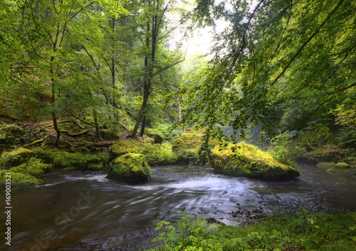 The Czech-Saxon Switzerland. Mystical River Kamenitsa. Hrensko.