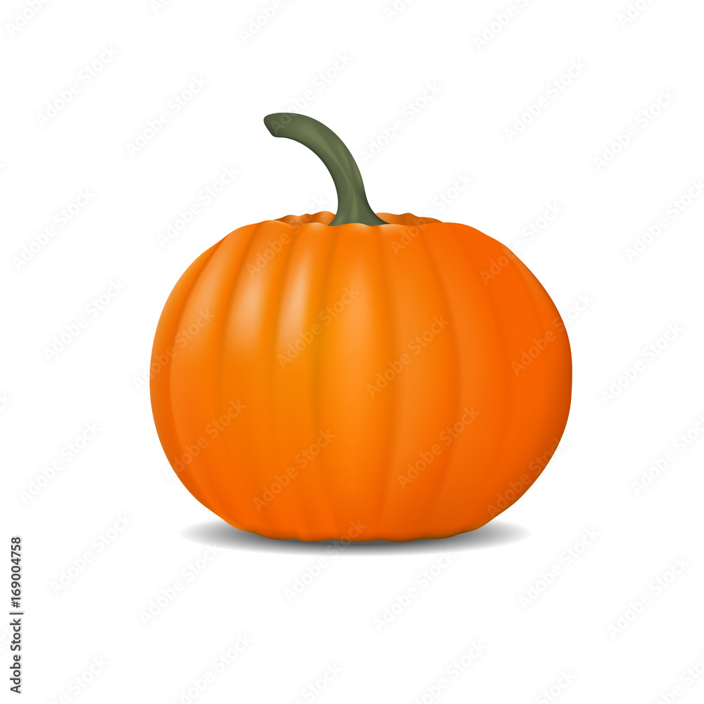 Obraz premium Pumpkin realistic illustration isolated on white. Fresh and orange vegetable