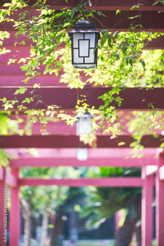 Lantern hanging on a pathway with vegetation in a park, Chengdu, China Lantern hanging on a pathway with vegetation in a park, Chengdu, China
