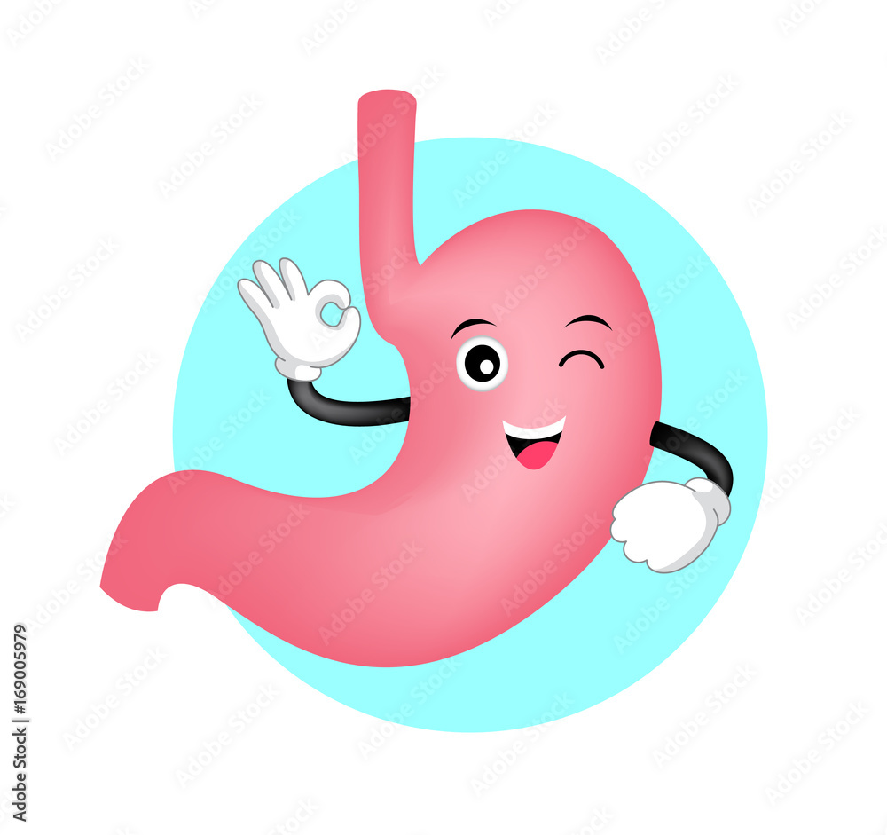 cartoon stomach organ