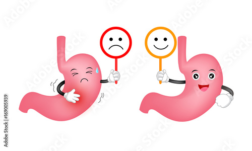 Cute cartoon stomach character holding sign of emotional face. Healthy and unhealthy with smile and scowl. Health care concept. Illustration isolated on white background.
