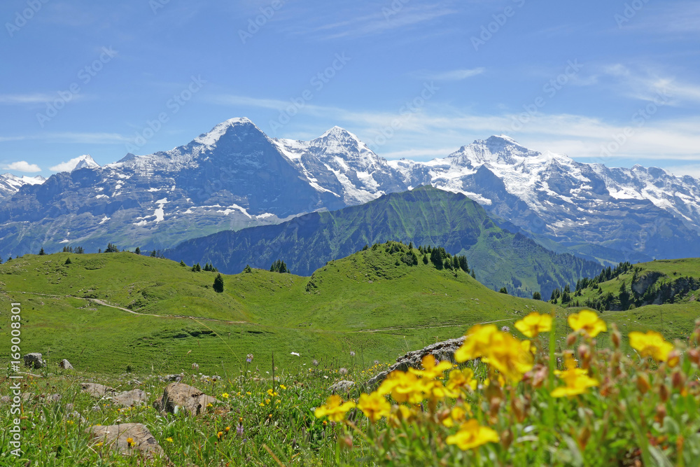 alpen: eiger, mönch und jungfrau, schweiz 