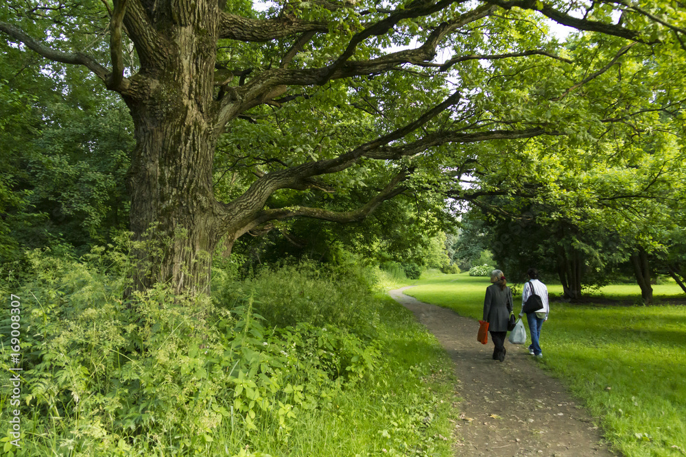 Park walk nature, street, people, woman, green grass, a few trees forests pathway outdoor garden family kid summer boy spring road bike love bike old Park walk nature, street, people, woman, green grass, a few trees forests pathway outdoor garden family kid summer boy spring road bike love bike old