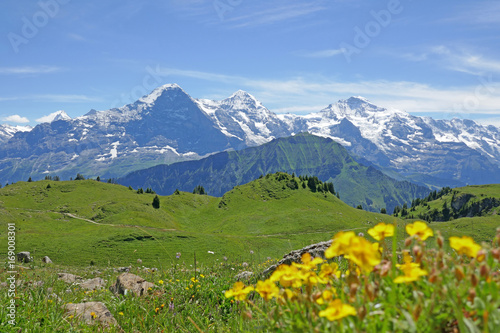 Bild auf Leinwand alpen: eiger, mönch und jungfrau, schweiz