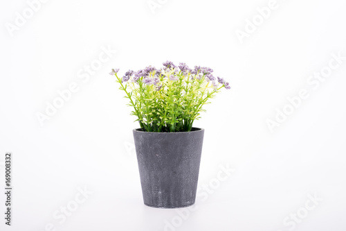 small artificial tree in a pot isolated in white background.