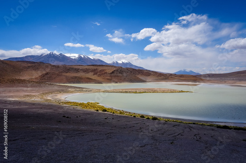 Laguna Honda in sud Lipez Altiplano reserva, Bolivia