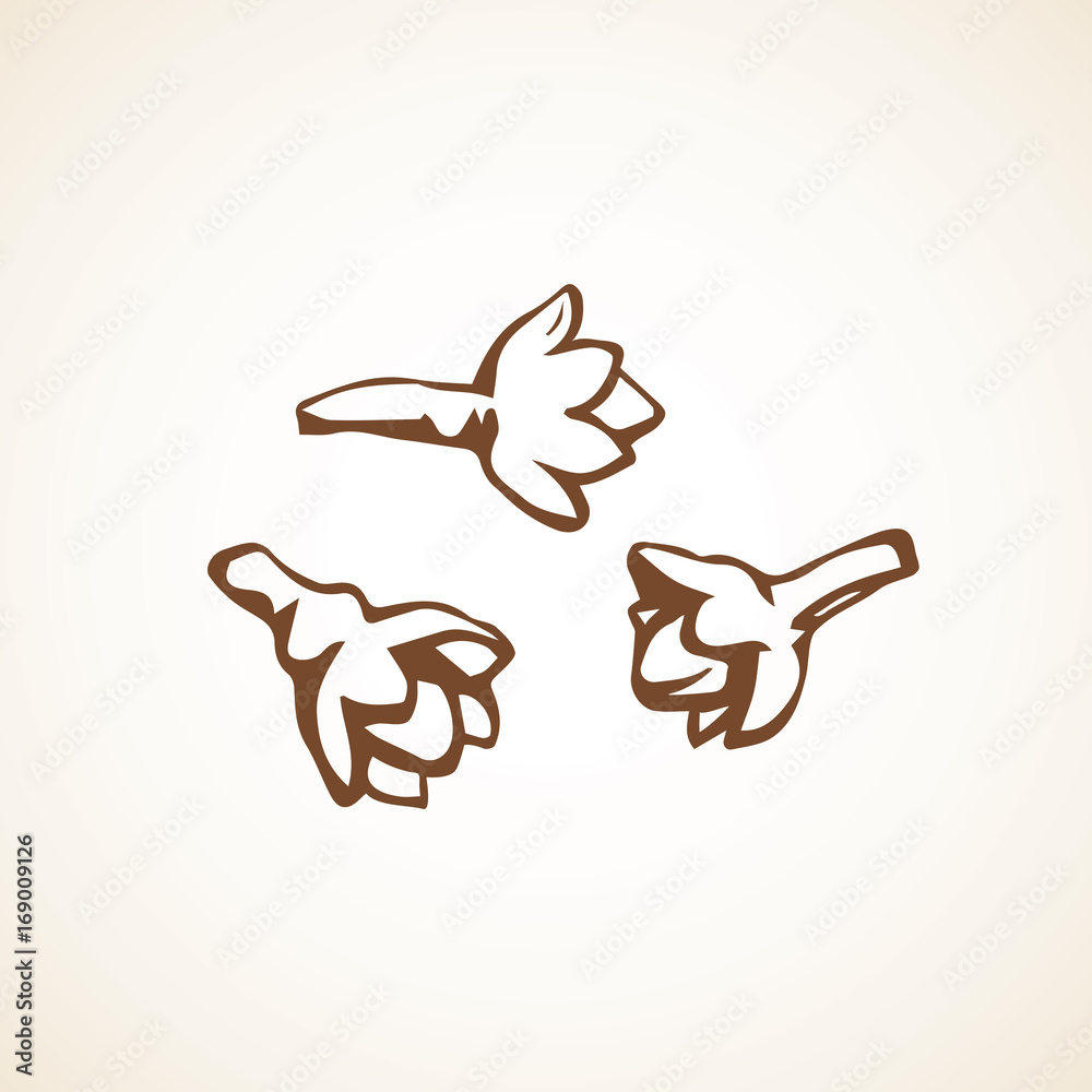 Clove seasoning. Vector drawing Clove seasoning. Vector drawing