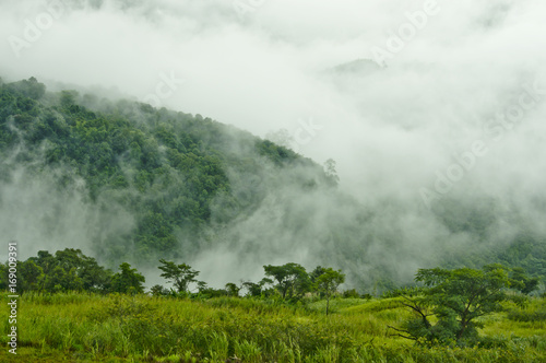 Misty mountains in the rainy season  © eaohm