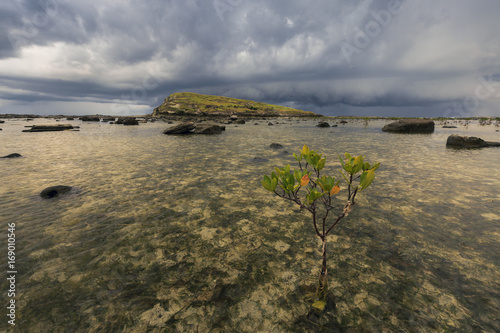 passing storm photo