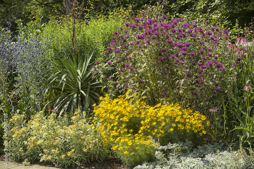 Flower border photo