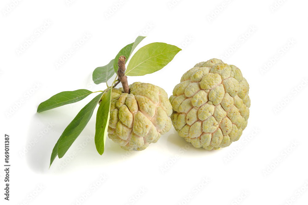 custard apple isolate on white custard apple isolate on white
