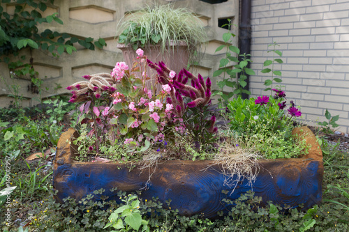 Tableau sur toile A wooden flower box with various flowering plants in the garden