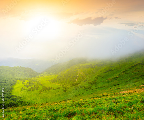 sunset over a green mountain landscape