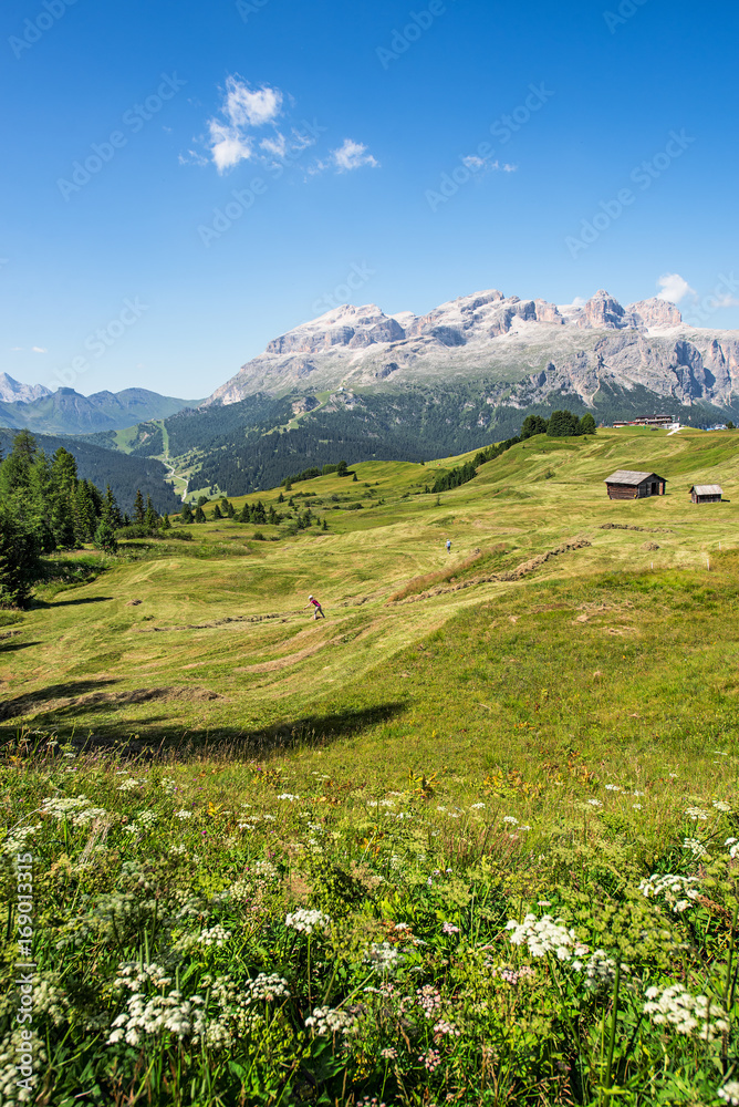 Φωτογραφία panorama of alto adige region in northern italy on summer
