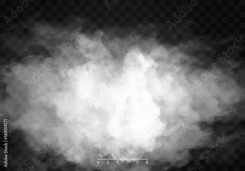 Fog or smoke isolated transparent special effect. White vector cloudiness, mist or smog background. Vector illustration