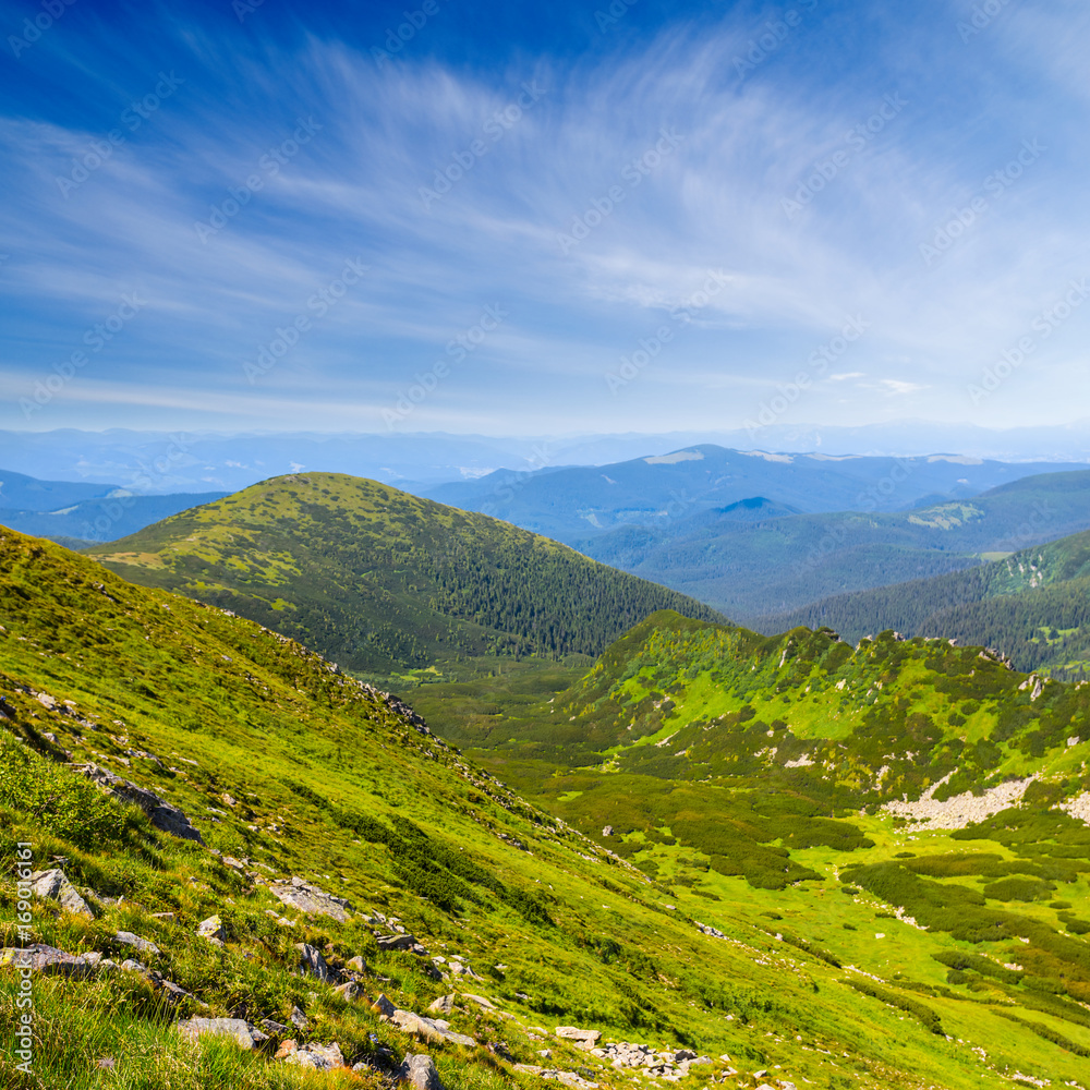 green summer mountain landscape, Carpathians Ukraine