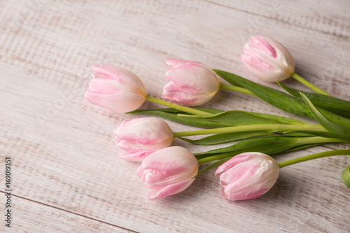 Fototapeta Naklejka Na Ścianę i Meble -  Bunch of Pastel Tulips on Wood Floor