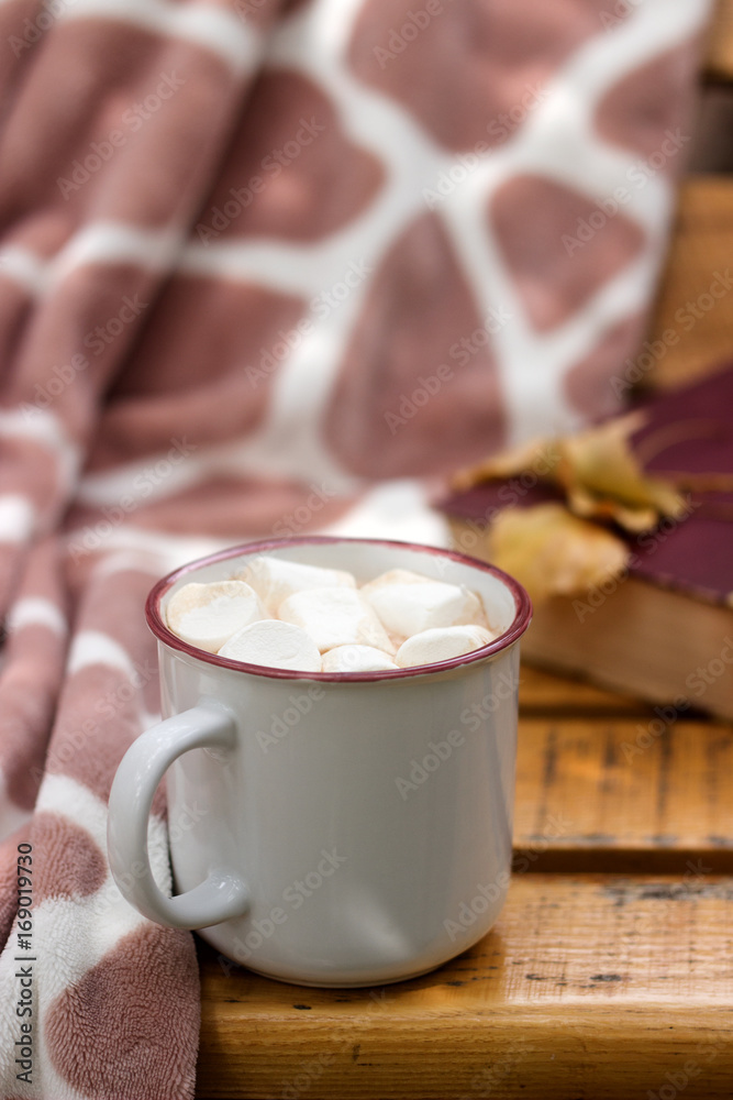 Hot cocoa with marshmallow on the background of a plaid and book. Hot cocoa with marshmallow on the background of a plaid and book.