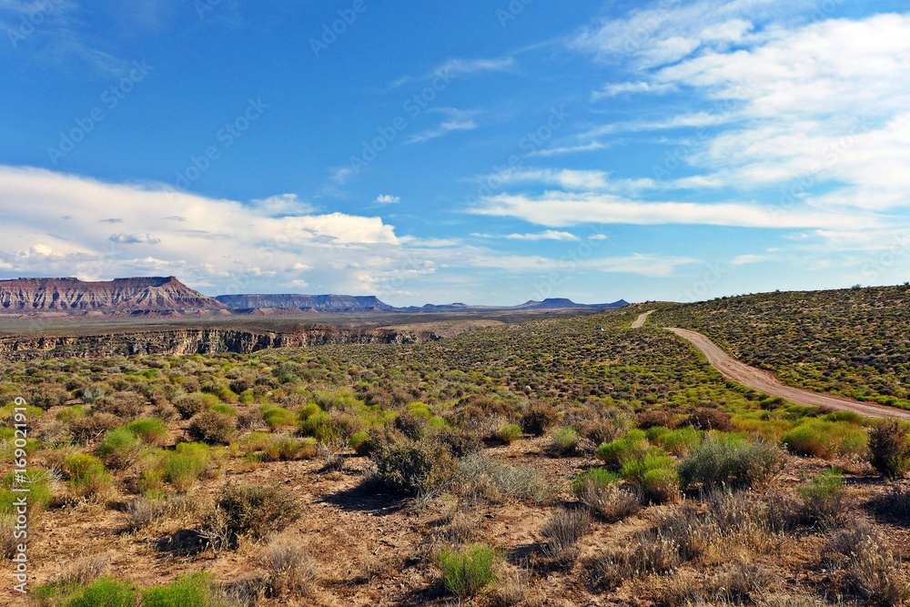 Weg durch die Mojavewüste 
