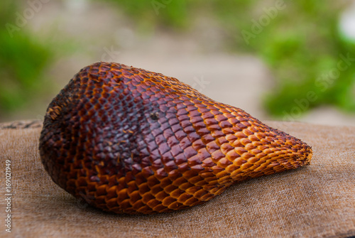 A shot of snake fruits taken at a local market, Malaysia. photo