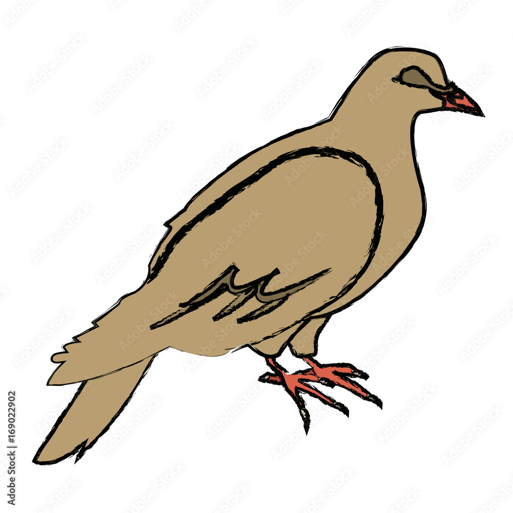 Fototapeta premium dove of peace nature animal concept icon vector illustration