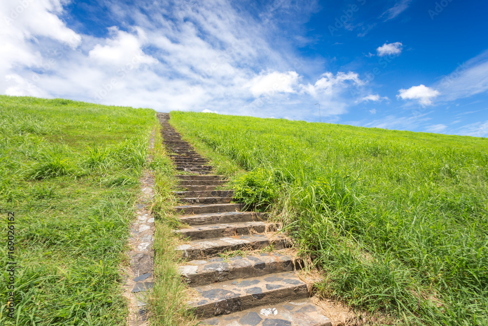Stone steps on the grass under blue sky with clouds.