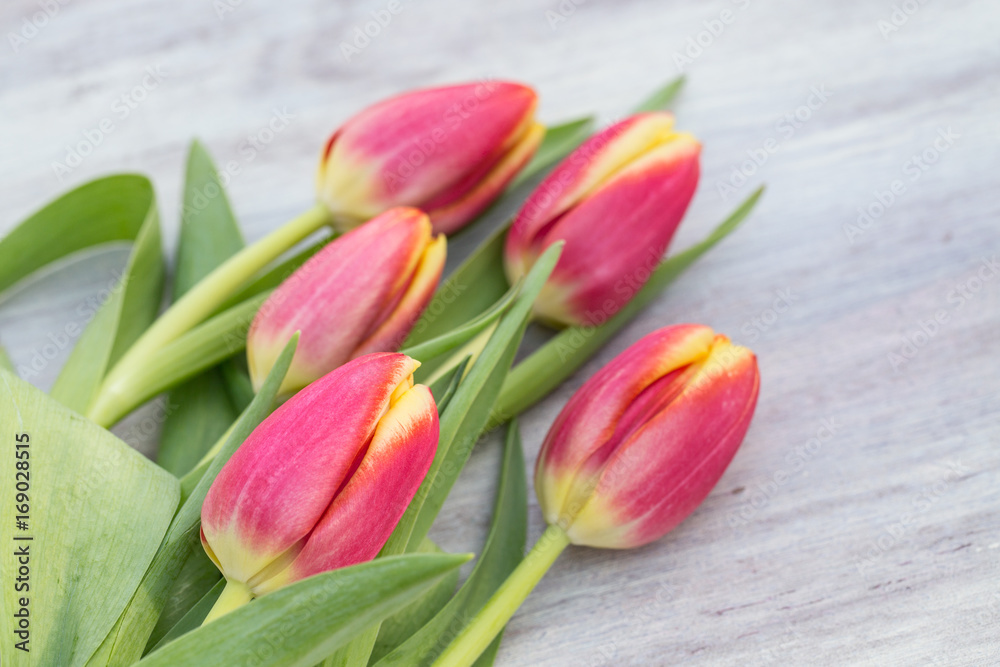 Spring Red and Yellow Tulips on Wood Table Spring Red and Yellow Tulips on Wood Table