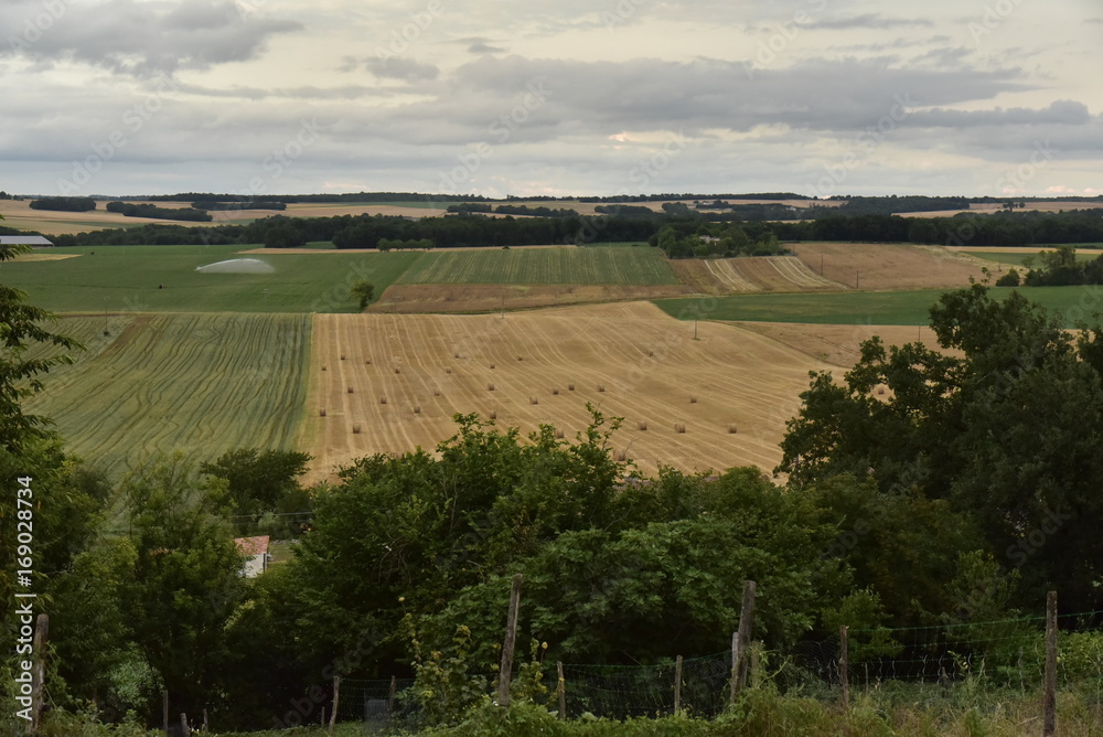 Obraz premium Buissons et arbustes sur les pentes du Puy de Versac dominant les vastes champs du Périgord Vert en contrebas 